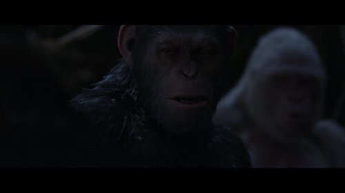 Планета обезьян: Война (2017) 4K UHD BDRemux 2160p